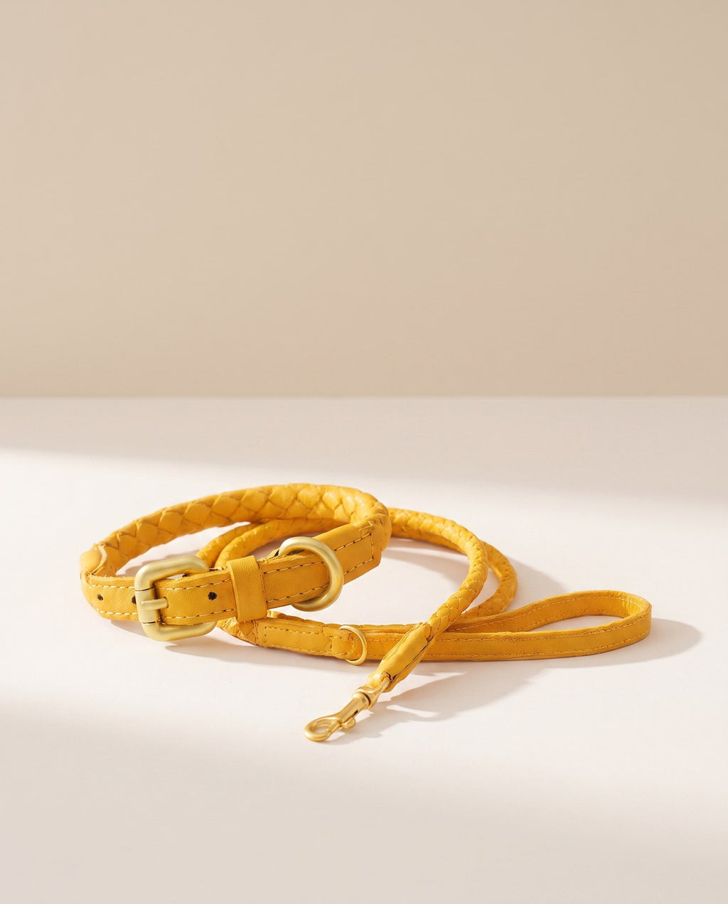 Bergen Woven Collar and Leash Set