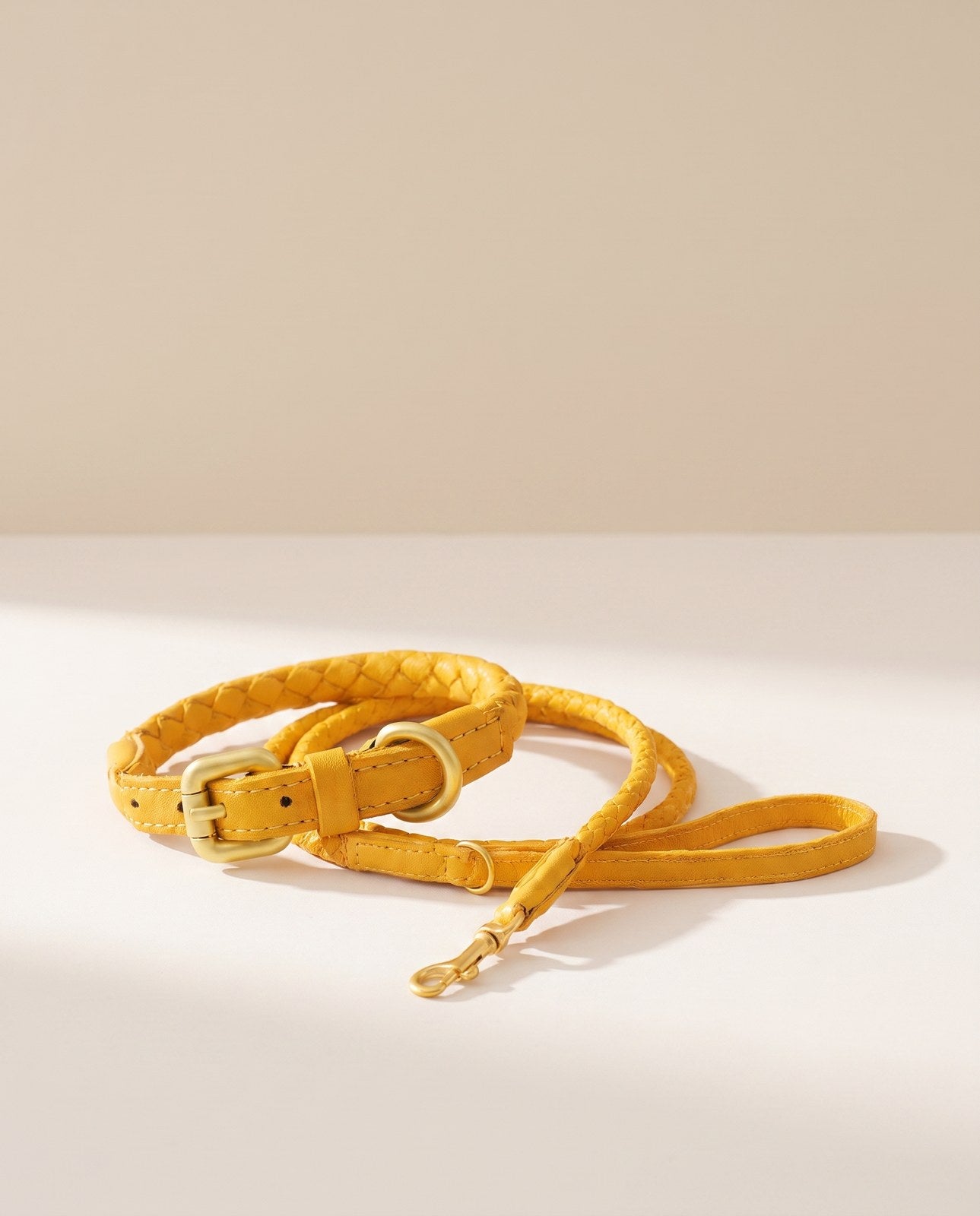 Bergen Woven Collar and Leash Set
