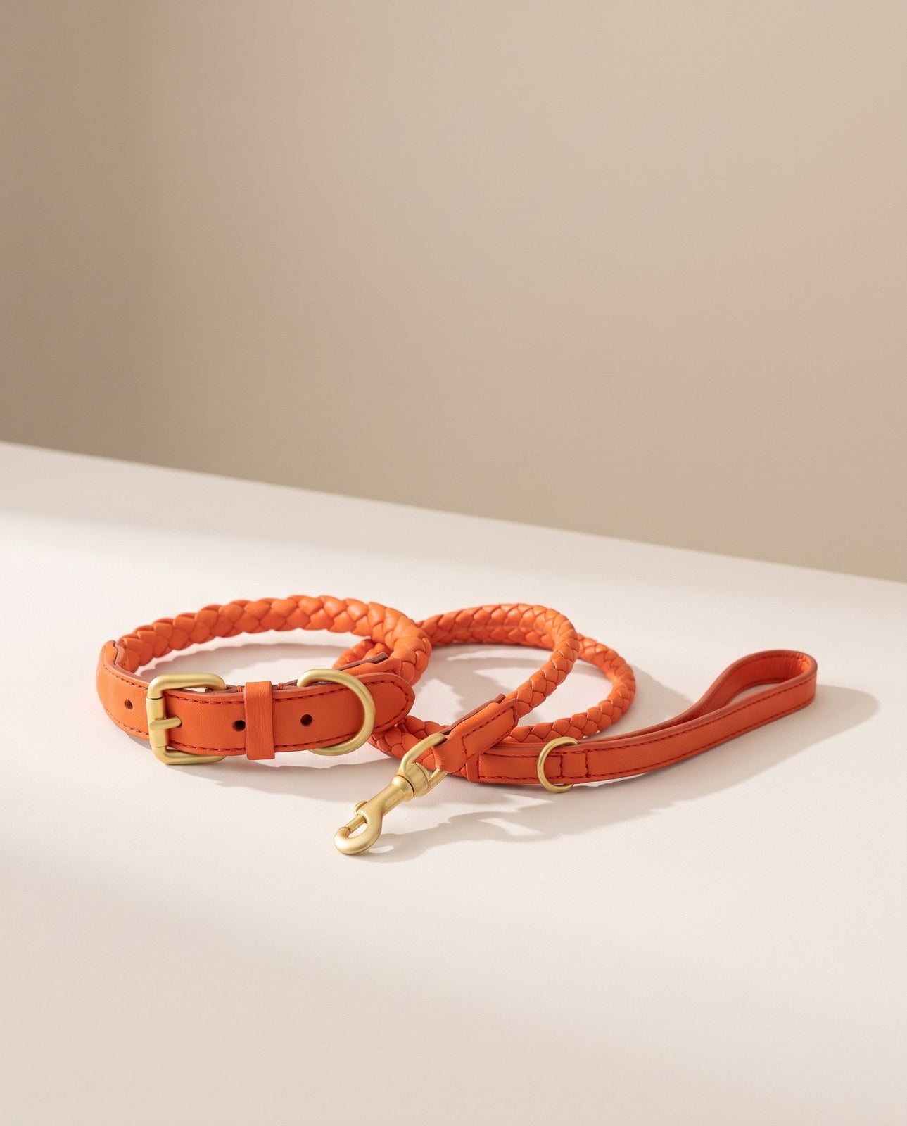 Bergen Woven Collar and Leash Set