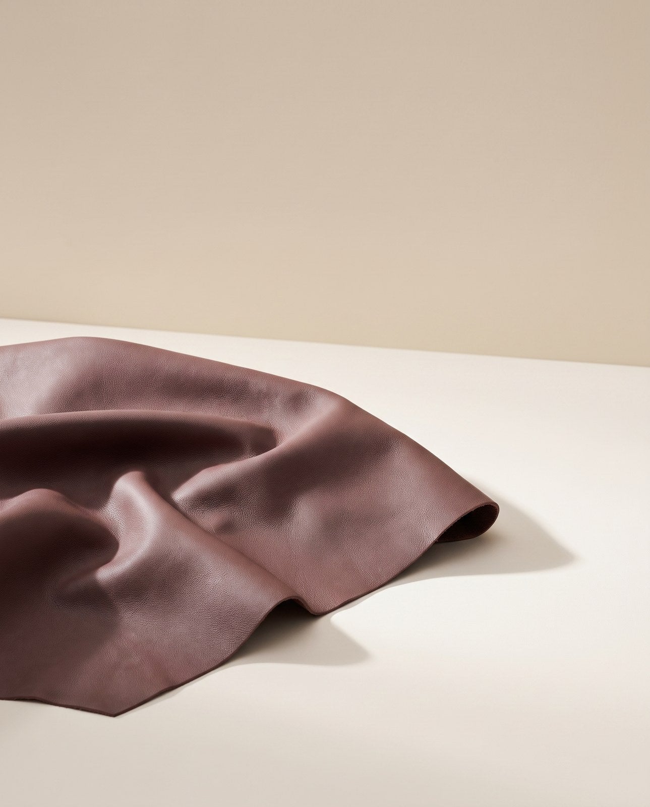 Halden Leather Collar