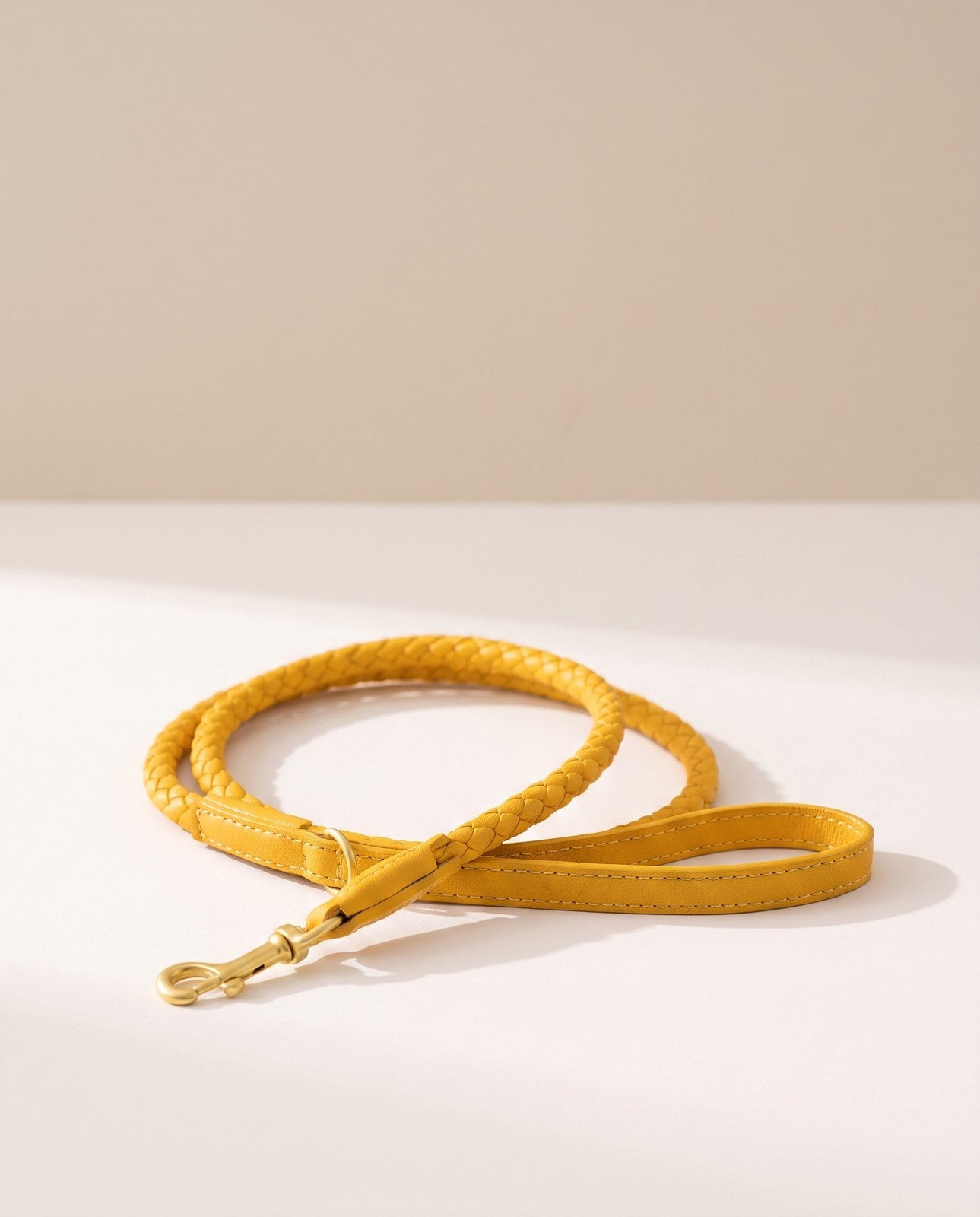 Bergen Woven Collar and Leash Set