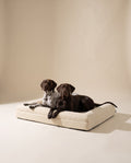 Ansel Memory Foam Bed