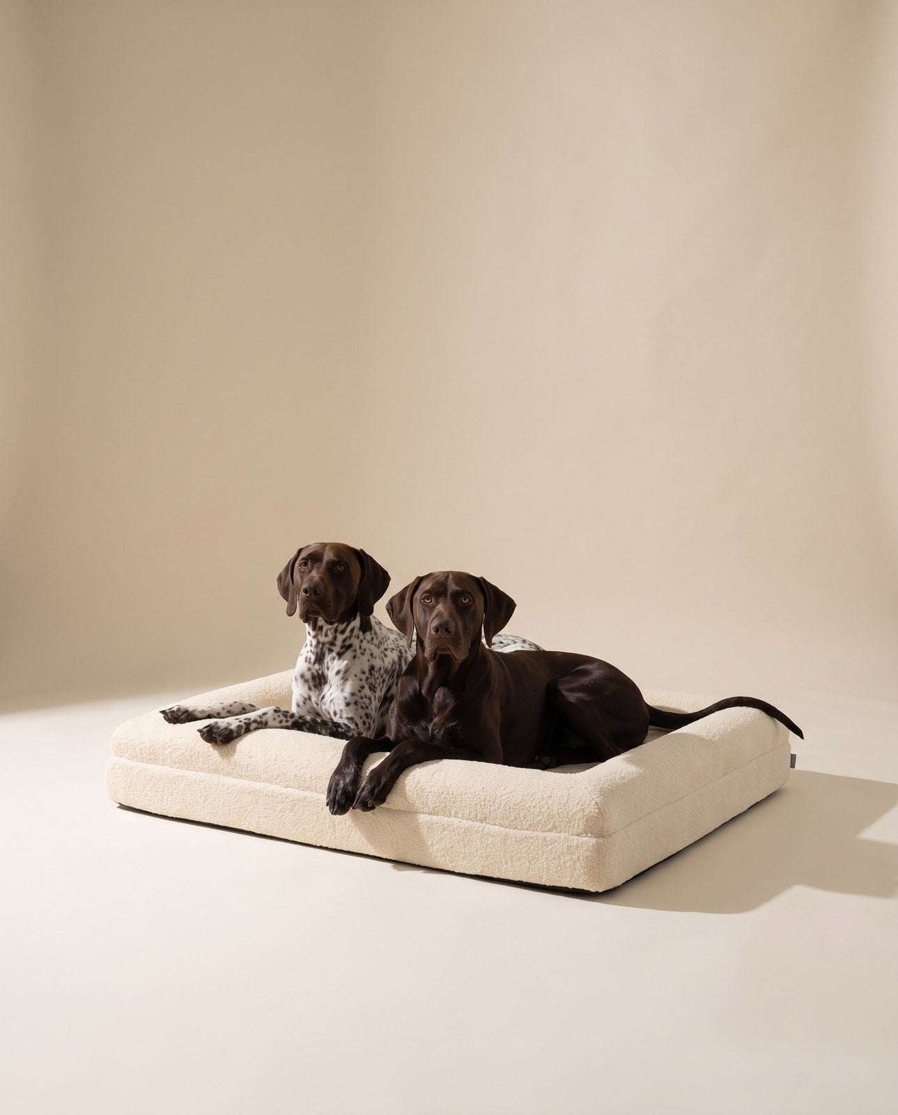 Ansel Memory Foam Bed