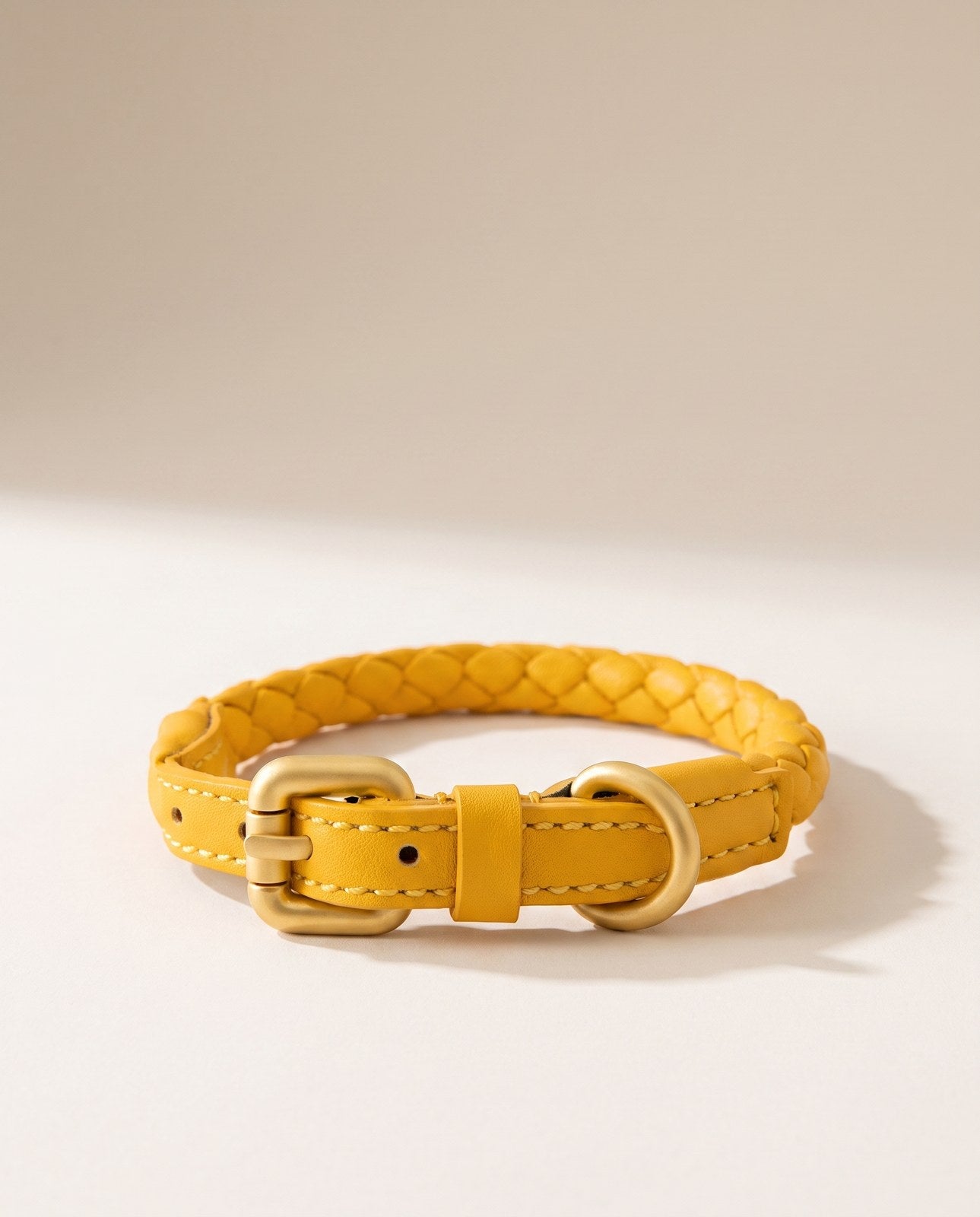 Bergen Woven Collar and Leash Set