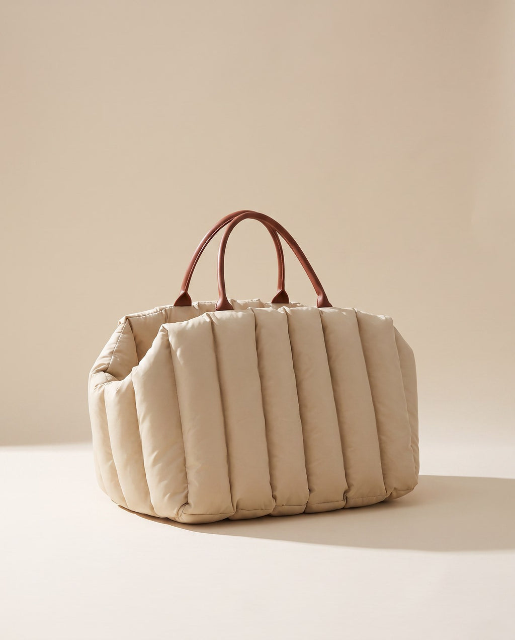 Elva Travel Carrier